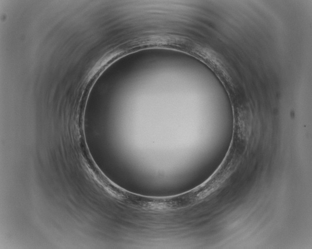 X0000067830794200604131200