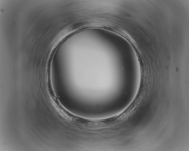 X0000067830795200604131159