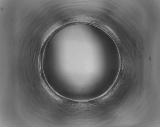 X0000067830796200604131159