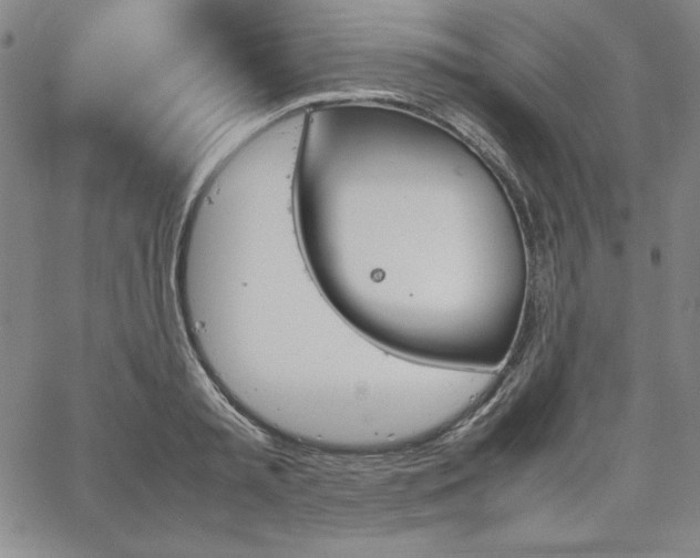 X0000067830797200604131159