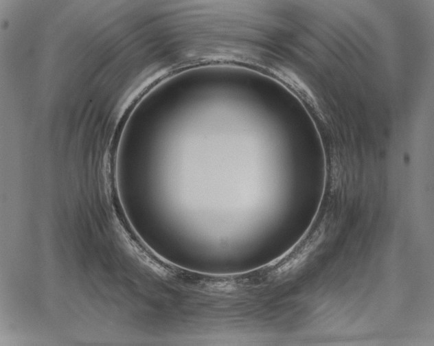 X0000067830798200604131159