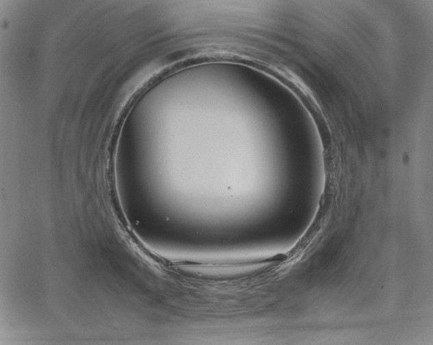 X0000067830799200604131159