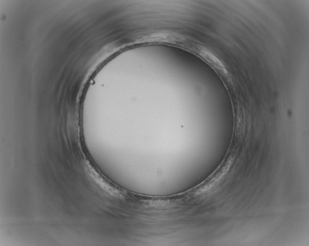 X0000067830800200604131159