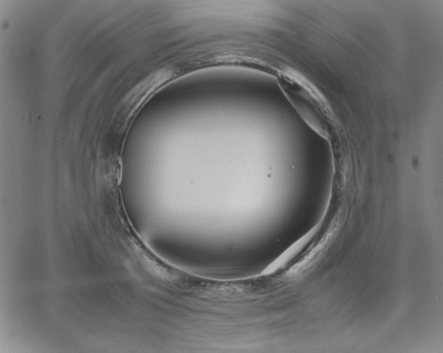 X0000067830801200604131159