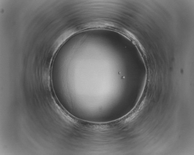 X0000067830802200604131159