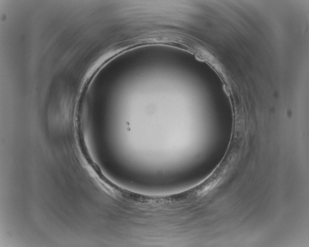 X0000067830803200604131159