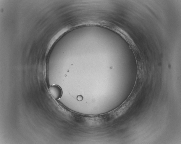 X0000067830804200604131159