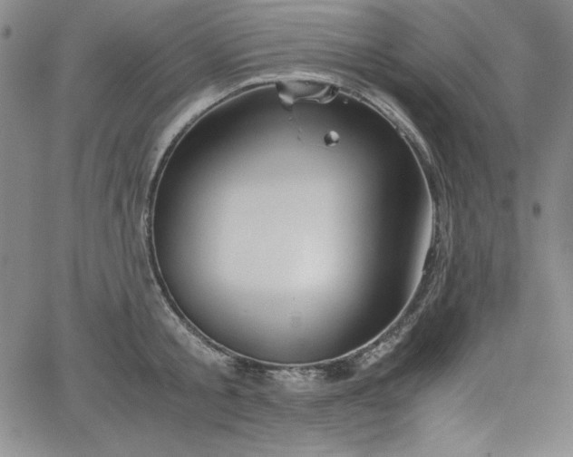 X0000067830805200604131159