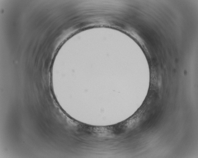 X0000067830807200604131159