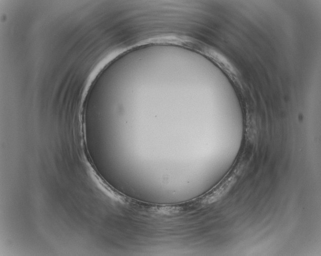 X0000067830808200604131159