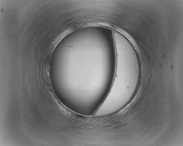 X0000067830809200604131159