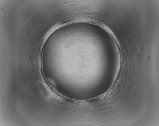 X0000067830811200604131159