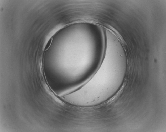 X0000067830812200604131159