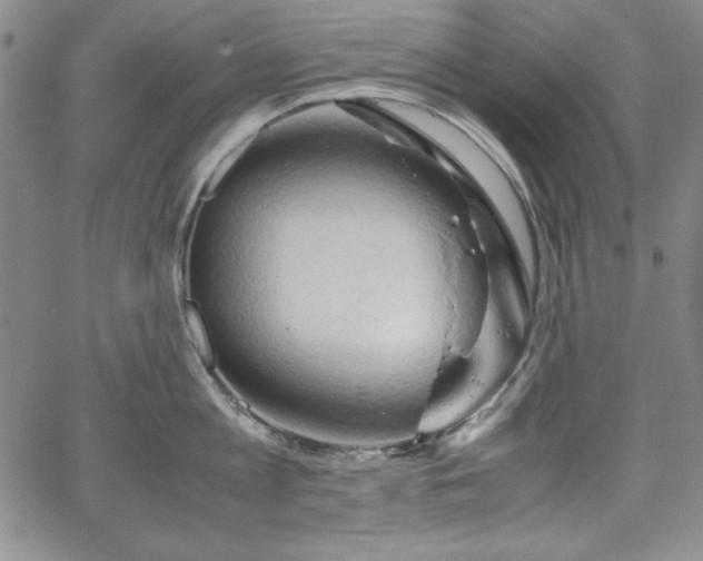 X0000067830813200604131159