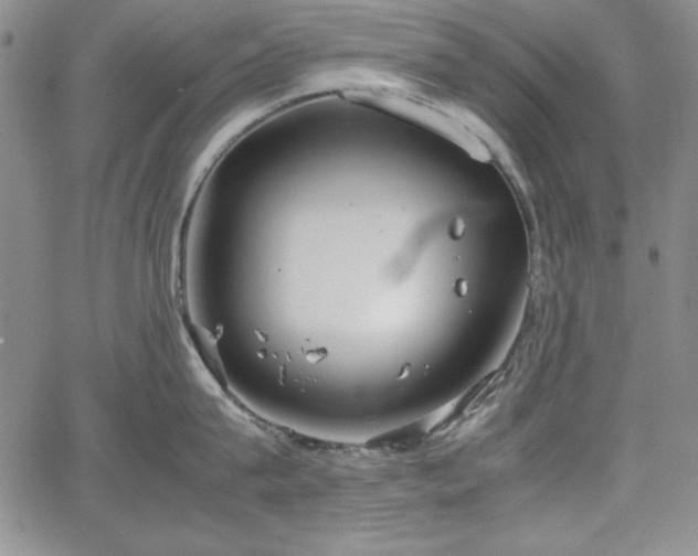 X0000067830815200604131159