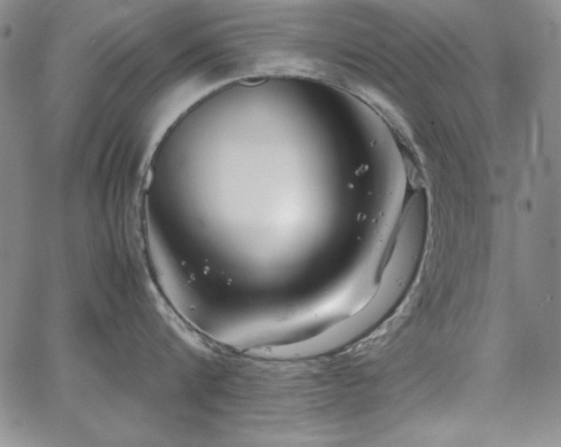 X0000067830816200604131159