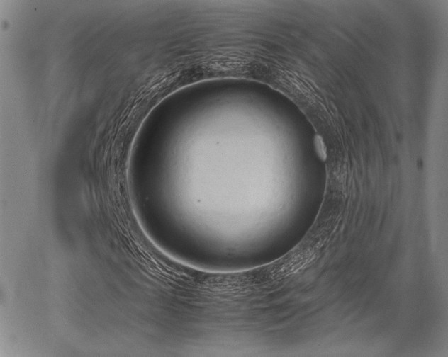 X0000067830817200604131158