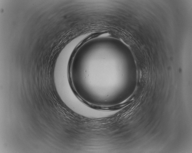 X0000067830818200604131158