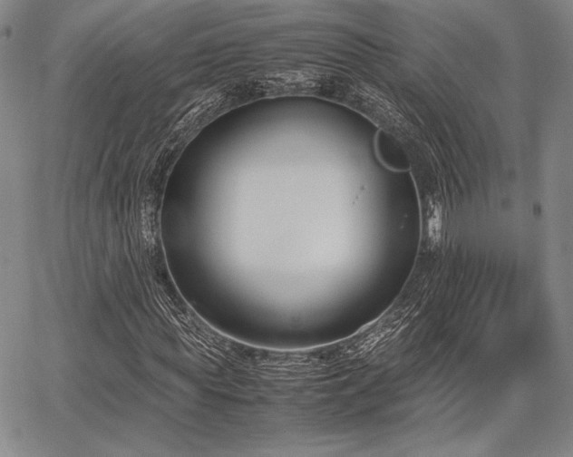 X0000067830819200604131158