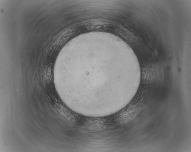 X0000067830820200604131158