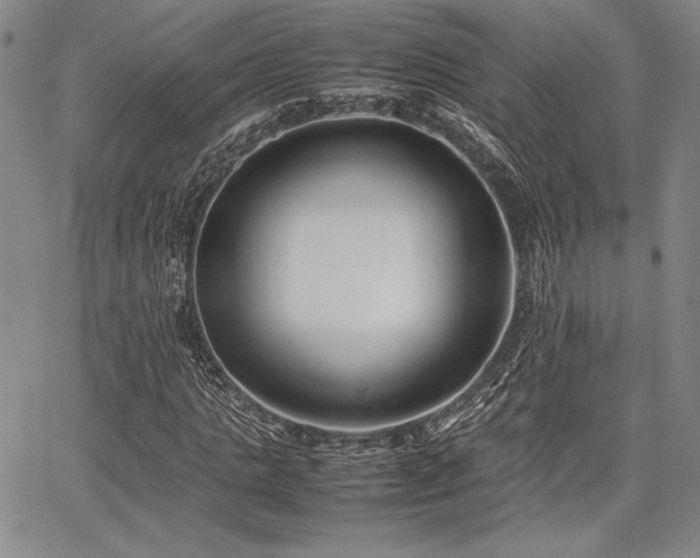 X0000067830821200604131158