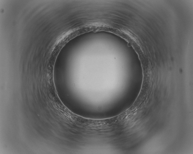 X0000067830823200604131158