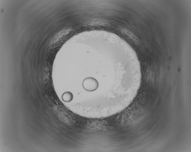 X0000067830824200604131158