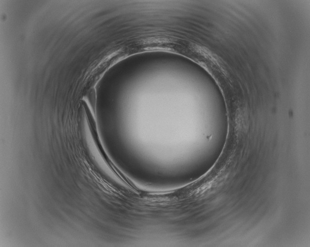 X0000067830825200604131159