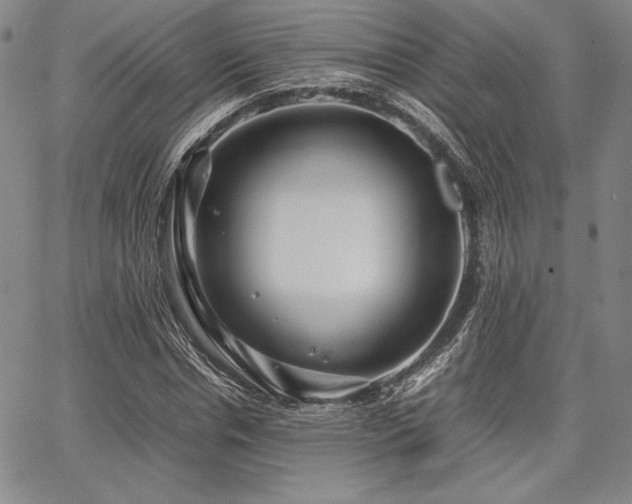 X0000067830826200604131159