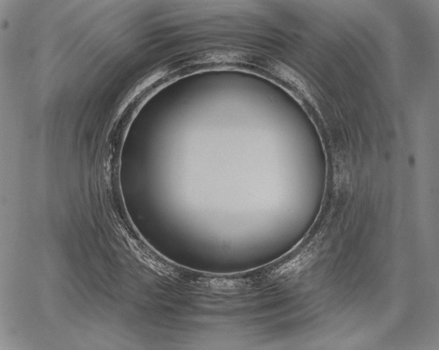 X0000067830827200604131159