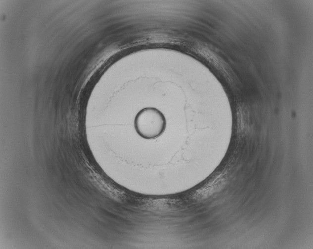 X0000067830828200604131159