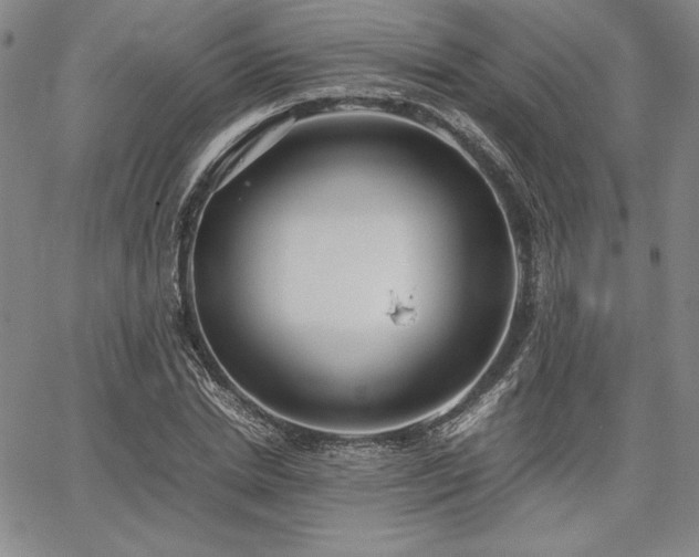 X0000067830830200604131159