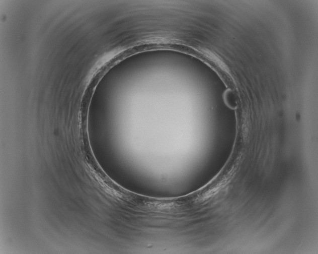 X0000067830831200604131159