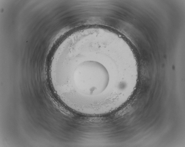 X0000067830832200604131159