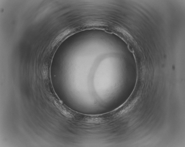 X0000067830833200604131159