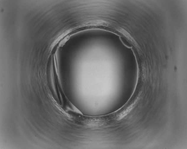 X0000067830834200604131159