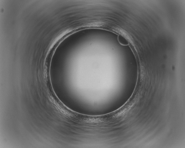 X0000067830835200604131159