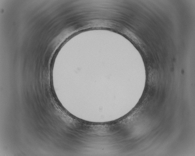 X0000067830836200604131159