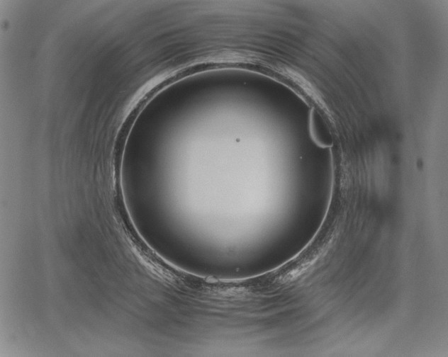 X0000067830837200604131159