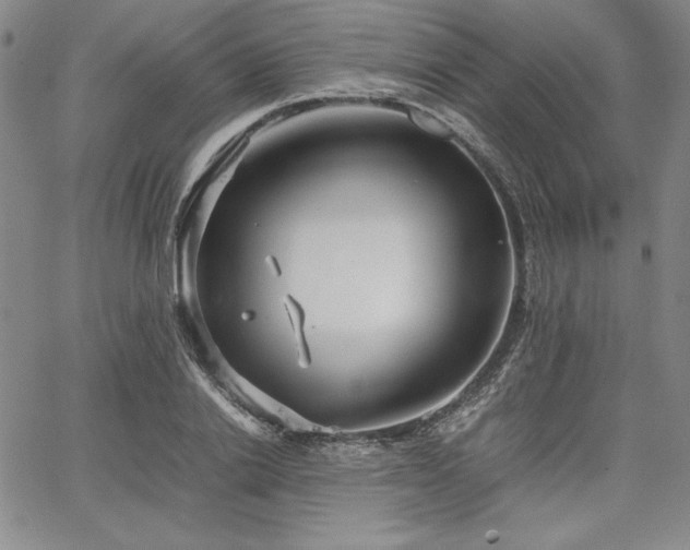 X0000067830838200604131159