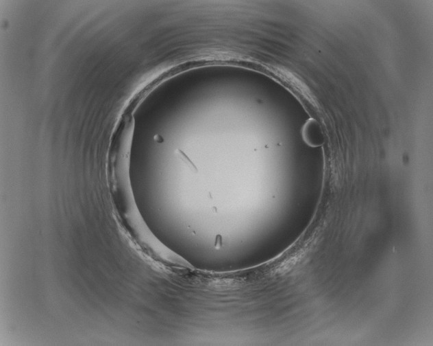 X0000067830839200604131159