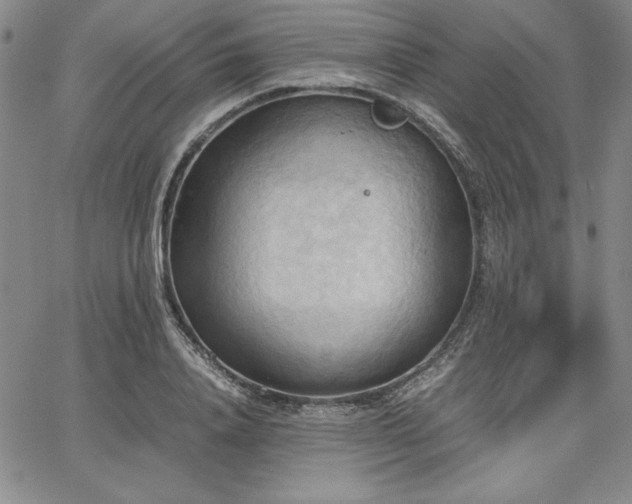 X0000067830840200604131159