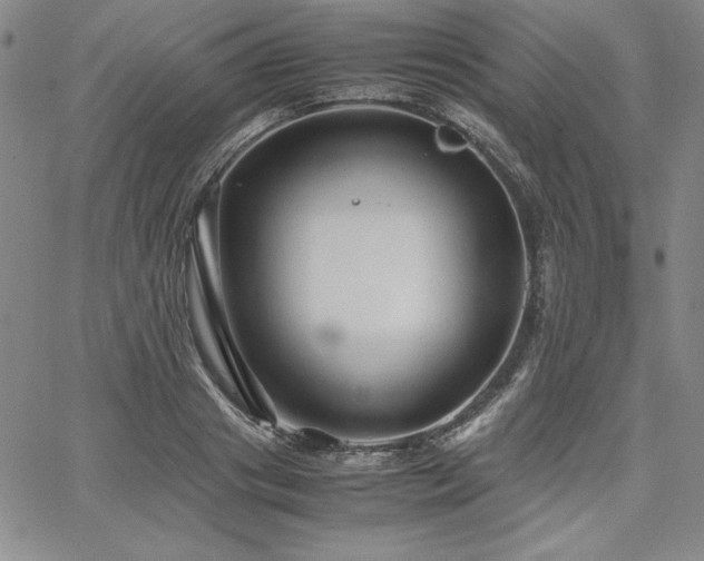 X0000067830841200604131159