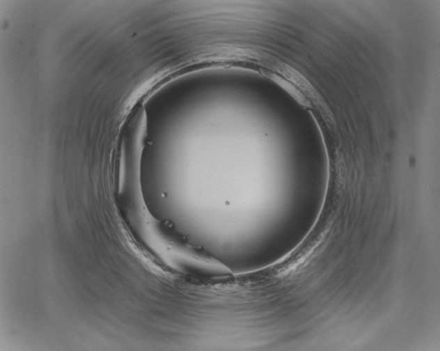 X0000067830842200604131159