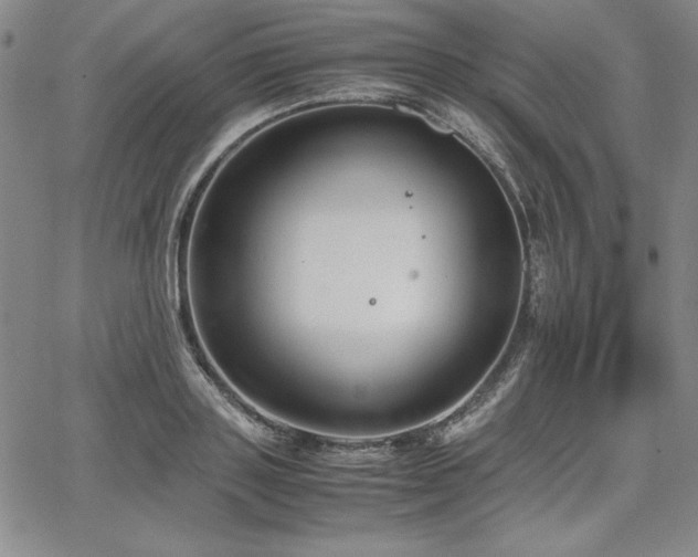 X0000067830843200604131159