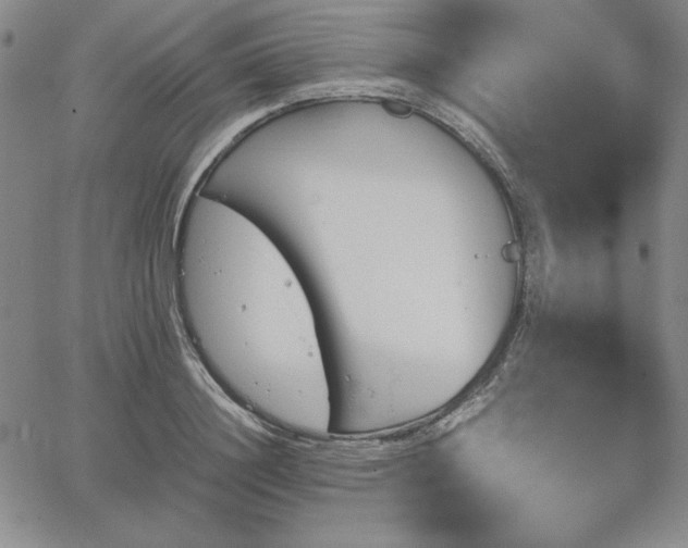 X0000067830844200604131159