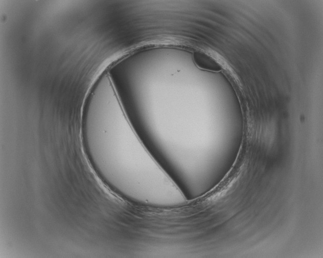 X0000067830845200604131159