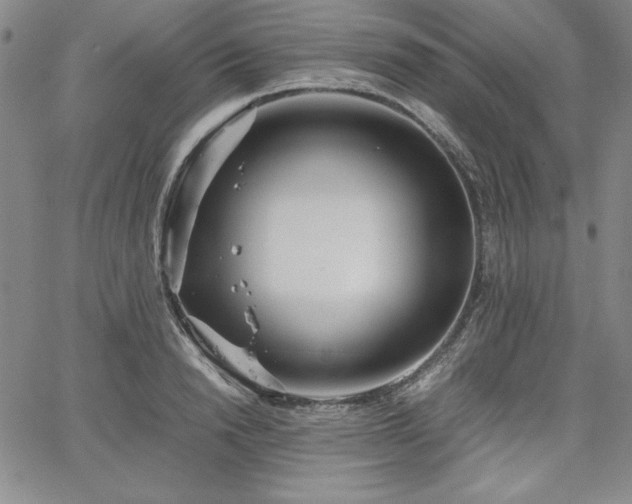 X0000067830846200604131159