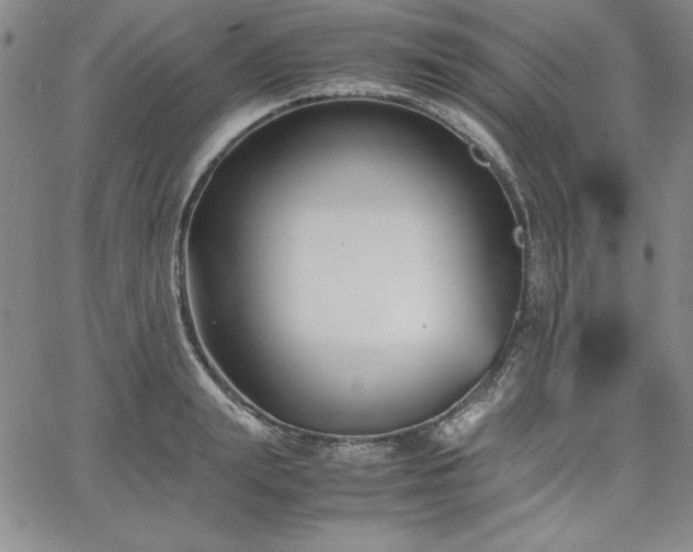 X0000067830847200604131159