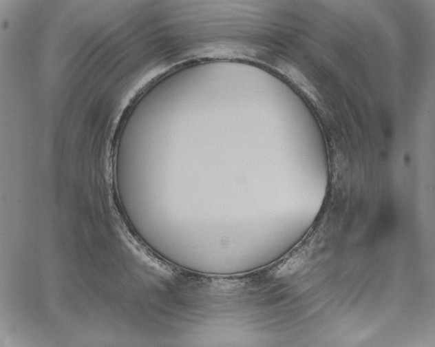 X0000067830848200604131159